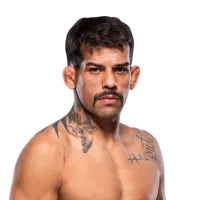 Pedro Falcao