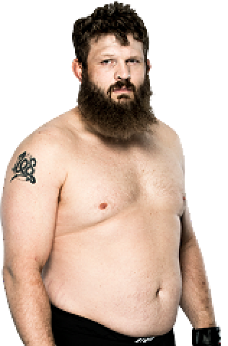 Roy Nelson