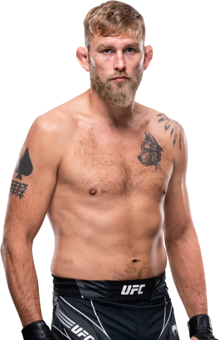 Alexander Gustafsson photo
