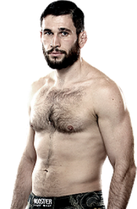 Amir Sadollah