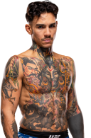 Andre Fili