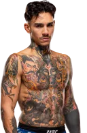 Andre Fili