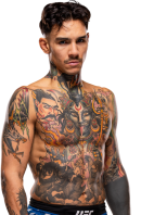 Andre Fili
