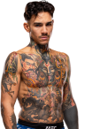 Andre Fili