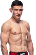 Damir Hadzovic