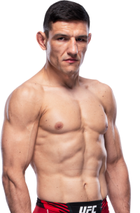 Damir Hadzovic