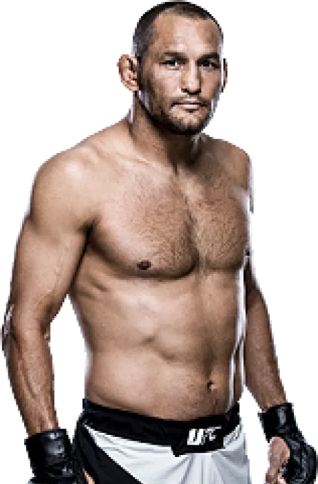 Dan Henderson photo