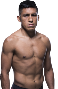 Enrique Barzola