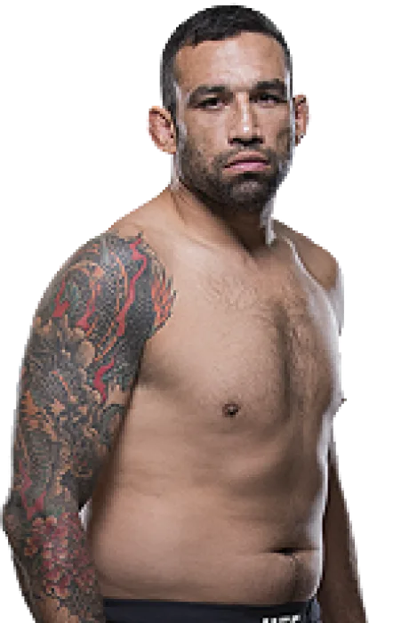 Fabricio Werdum photo