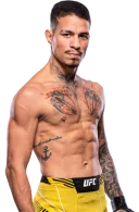 Felipe Colares