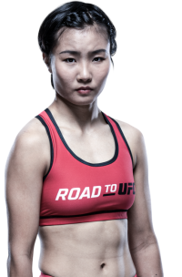 Feng Xiaocan