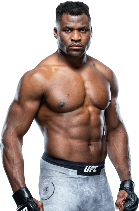 Francis Ngannou photo