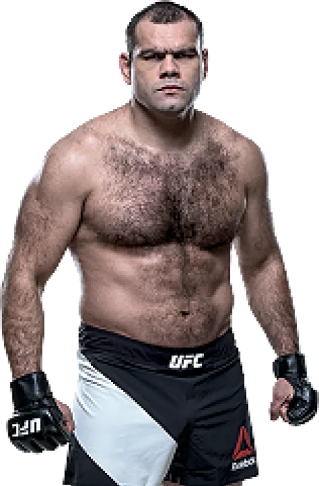 Gabriel Gonzaga photo