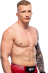Iwo Baraniewski