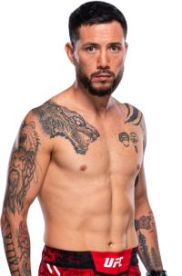 Luis Pajuelo