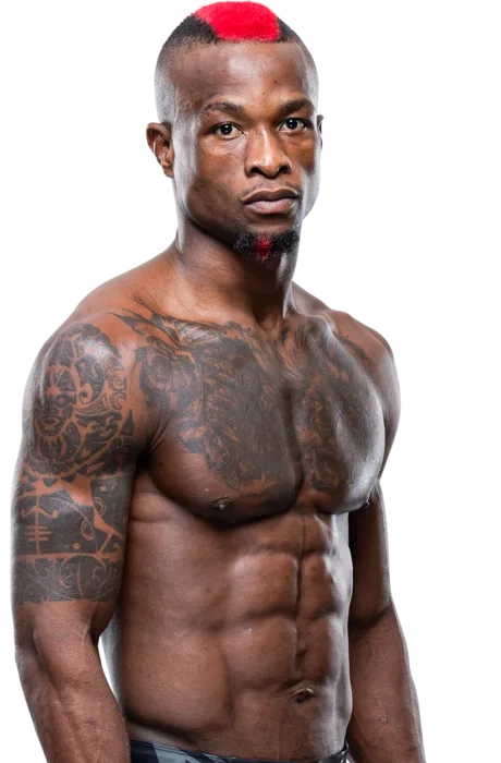 Marc Diakiese photo