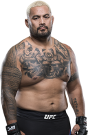 Mark Hunt