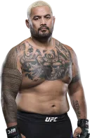 Mark Hunt