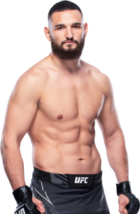 Nicolae Negumereanu