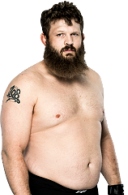 Roy Nelson