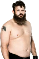Roy Nelson