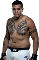 Soa Palelei