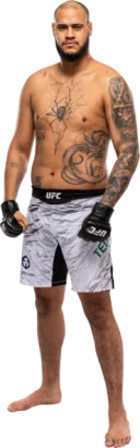 Tallison Teixeira