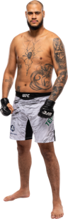 Tallison Teixeira